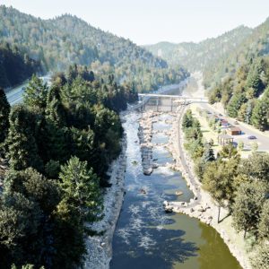 visualization afternoon draft